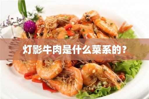 灯影牛肉是什么菜系的？(灯影牛肉是哪的菜)?