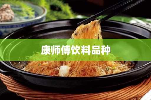 康师傅饮料品种(康师傅87种饮料)