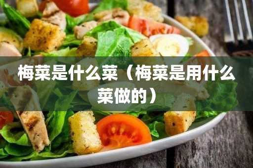 梅菜是用什么菜做的?梅菜是什么菜