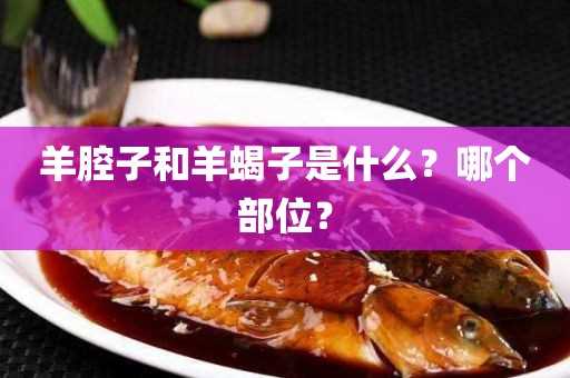 羊腔子和羊蝎子是什么？哪个部位？(羊蝎子是羊的哪个部位)?