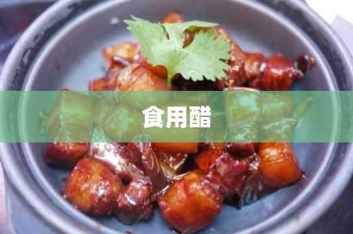 食用醋的营养价值_食用醋