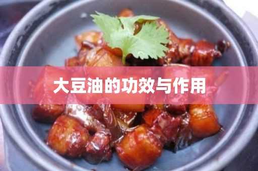 大豆油的作用与功效(为什么不建议吃大豆油)?