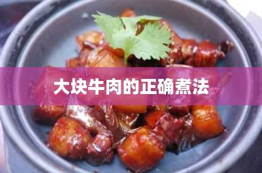 大块牛肉的正确煮法(怎么样做大片牛肉既好吃又简单)?