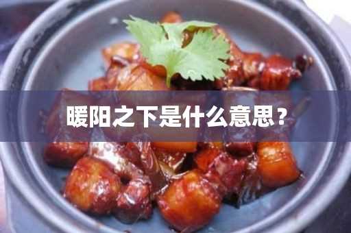 百度百科)?暖阳之下是什么意思？(暖阳之下