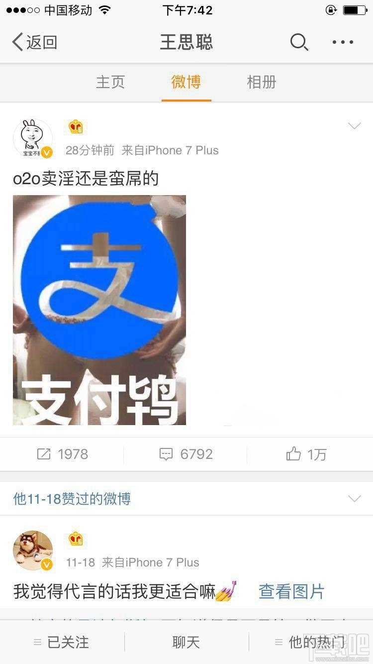 鸨怎么读？支付鸨是什么意思？