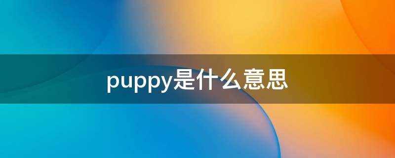 puppy是什么意思英语(puppy是什么意思翻译)?