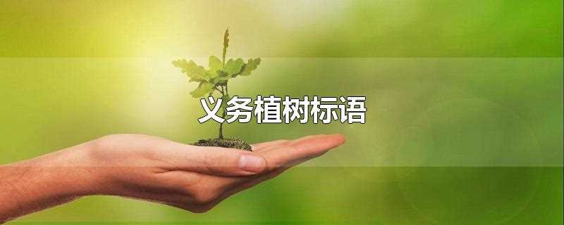 义务植树标语(义务植树标语八个字)