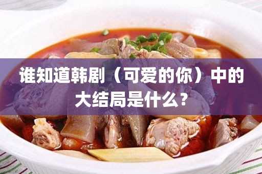 谁知道韩剧（可爱的你）中的大结局是什么？(可爱的你韩剧豆瓣)?