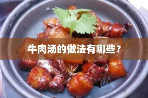 牛肉汤的做法有哪些？(牛肉汤的简单做法大全)?