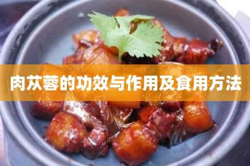 肉苁蓉的作用与功效_肉苁蓉的作用与功效及食用方法