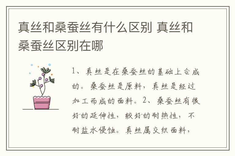 真丝和桑蚕丝区别在哪里?真丝和桑蚕丝有什么区别(桑蚕丝和真丝的区别)