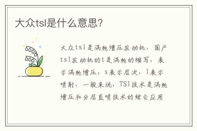 大众tsl是什么意思？?(tsl)