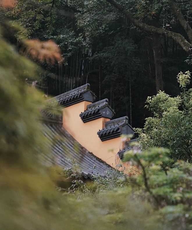 与桂花香撞个满怀！_杭州的秋天(西湖体育馆)