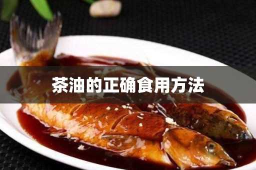 茶油的正确食用方法(油茶油食用方法)