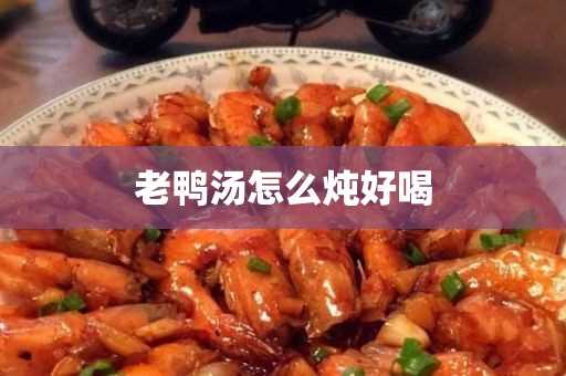 老鸭汤怎么炖好喝(正宗老鸭汤制作方法)?