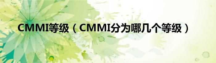 CMMI分为哪几个等级_CMMI等级?(cmmi)