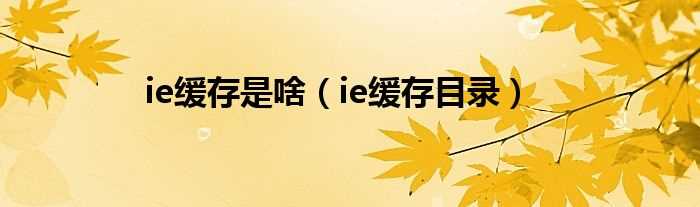 ie缓存目录_ie缓存是啥(ie缓存)