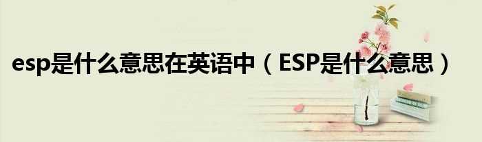 ESP是什么意思_esp是什么意思在英语中?(esp)