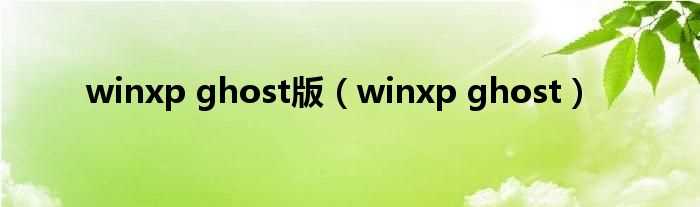 winxp_ghost_winxp_ghost版(winxpghost)