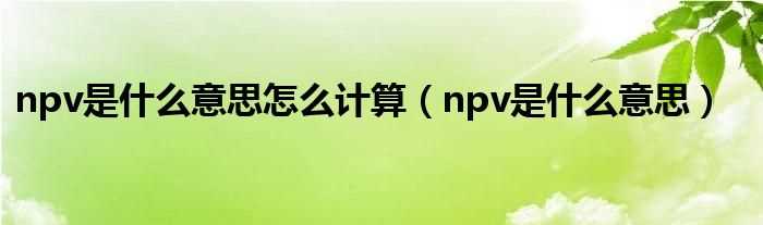 npv是什么意思_npv是什么意思怎么计算?(npv)