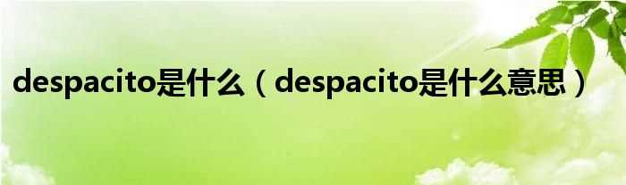 despacito是什么意思_despacito是什么?(despacito)