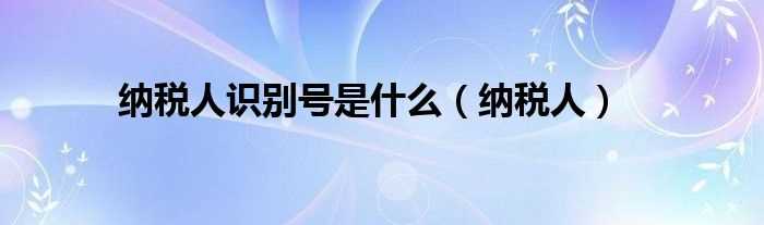 纳税人_纳税人识别号是什么?(纳税人识别号)