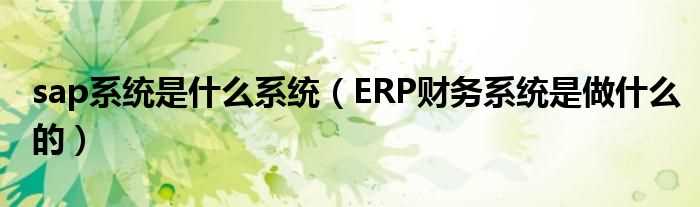 ERP财务系统是做什么的_sap系统是什么系统?(sap系统)