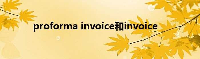 proforma_invoice和invoice(proforma invoice)