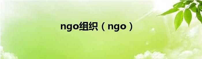 ngo_ngo组织(ngo)