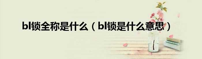 bl锁是什么意思_bl锁全称是什么?(bl锁全称)