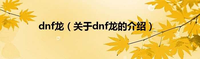 关于dnf龙的介绍_dnf龙(dnf龙)