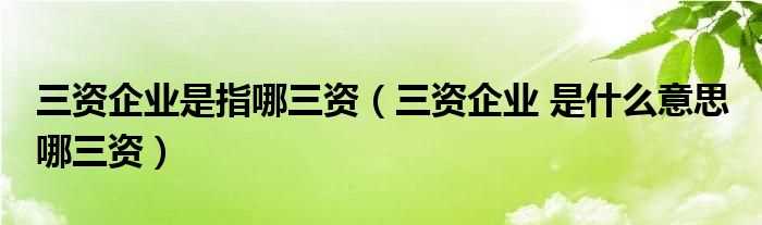 三资企业?是什么意思_哪三资_三资企业是指哪三资?(三资企业)