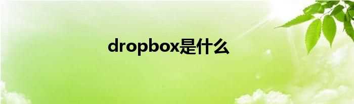 dropbox是什么?(dropbox是什么)