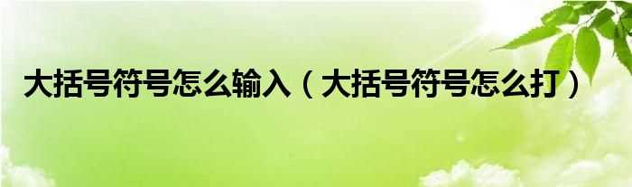 大括号符号怎么打_大括号符号怎么输入?(大括号)