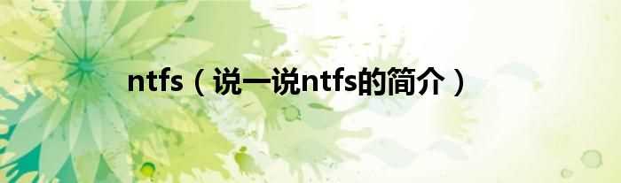 说一说ntfs的简介_ntfs(ntfs)