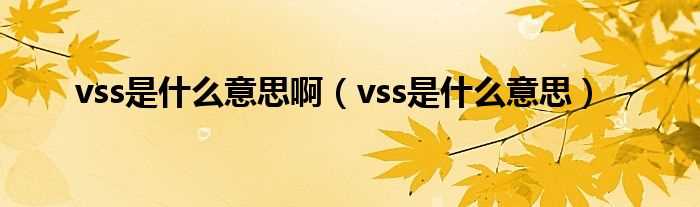 vss是什么意思_vss是什么意思啊?(vss)