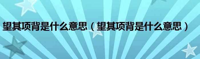 望其项背是什么意思_望其项背是什么意思?(望其项背)