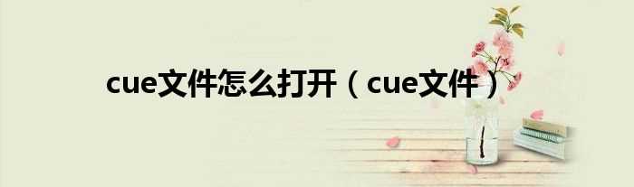 cue文件_cue文件怎么打开?(cue文件)