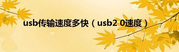 usb2_0速度_usb传输速度多快(usb2.0传输速度)