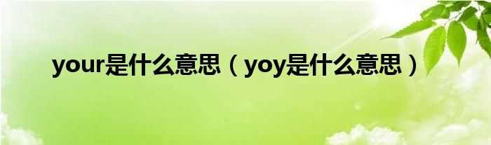 yoy是什么意思_your是什么意思?(your)