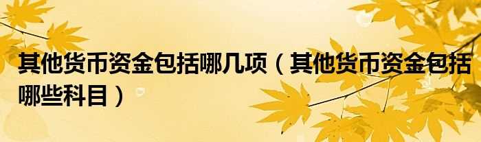 其他货币资金包括哪些科目_其他货币资金包括哪几项?(其他货币资金)