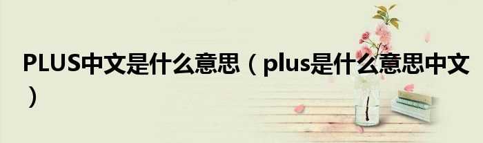 plus是什么意思中文_PLUS中文是什么意思?(plus是什么意思)