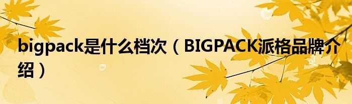 BIGPACK派格品牌介绍_bigpack是什么档次?(bigpack)