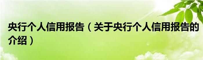 关于央行个人信用报告的介绍_央行个人信用报告(央行个人信用报告)