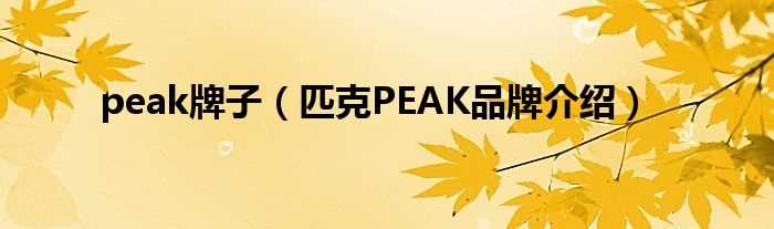 匹克PEAK品牌介绍_peak牌子(匹克)