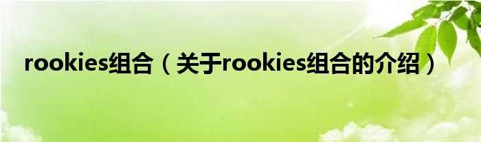 关于rookies组合的介绍_rookies组合(rookies组合)