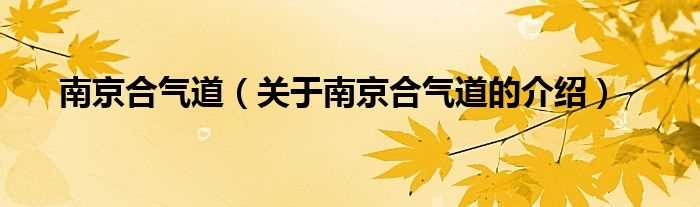 关于南京合气道的介绍_南京合气道(南京合气道)