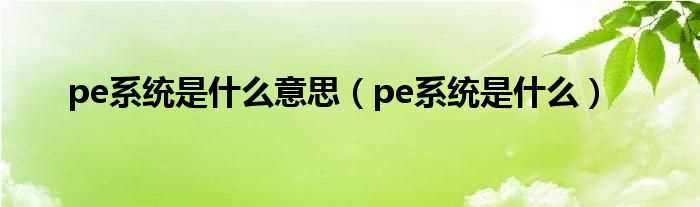 pe系统是什么_pe系统是什么意思?(pe系统)