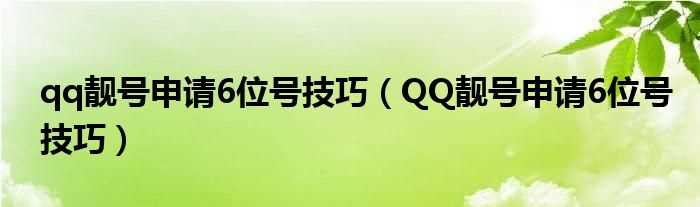 QQ靓号申请6位号技巧_qq靓号申请6位号技巧(qq6位靓号)