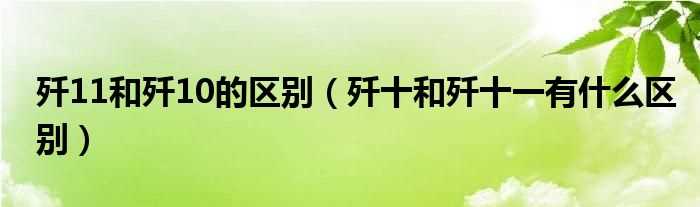 歼十和歼十一有什么区别_歼11和歼10的区别?(歼10 歼11)